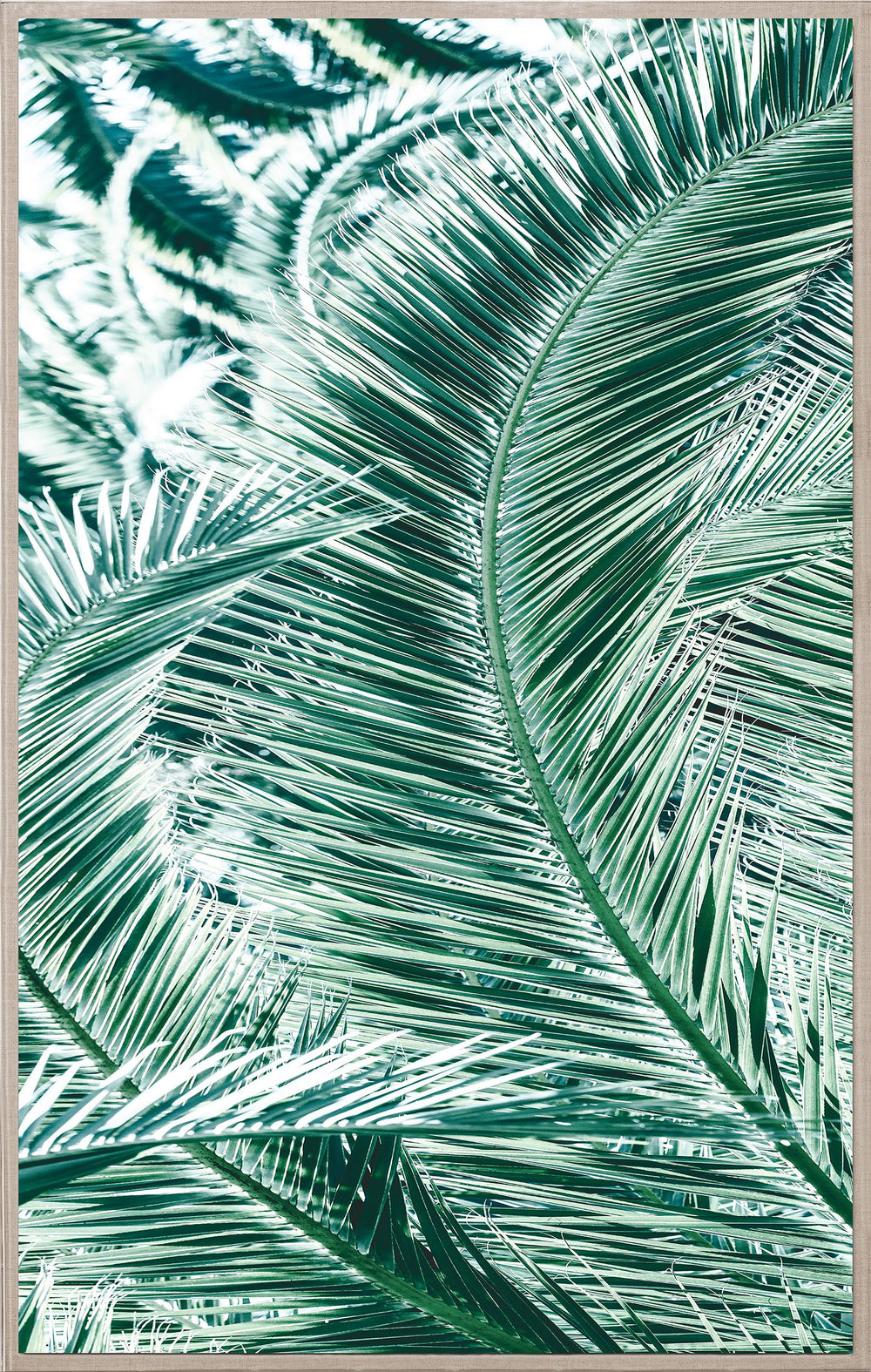 Natural Curiosities Tropicana 1 Art