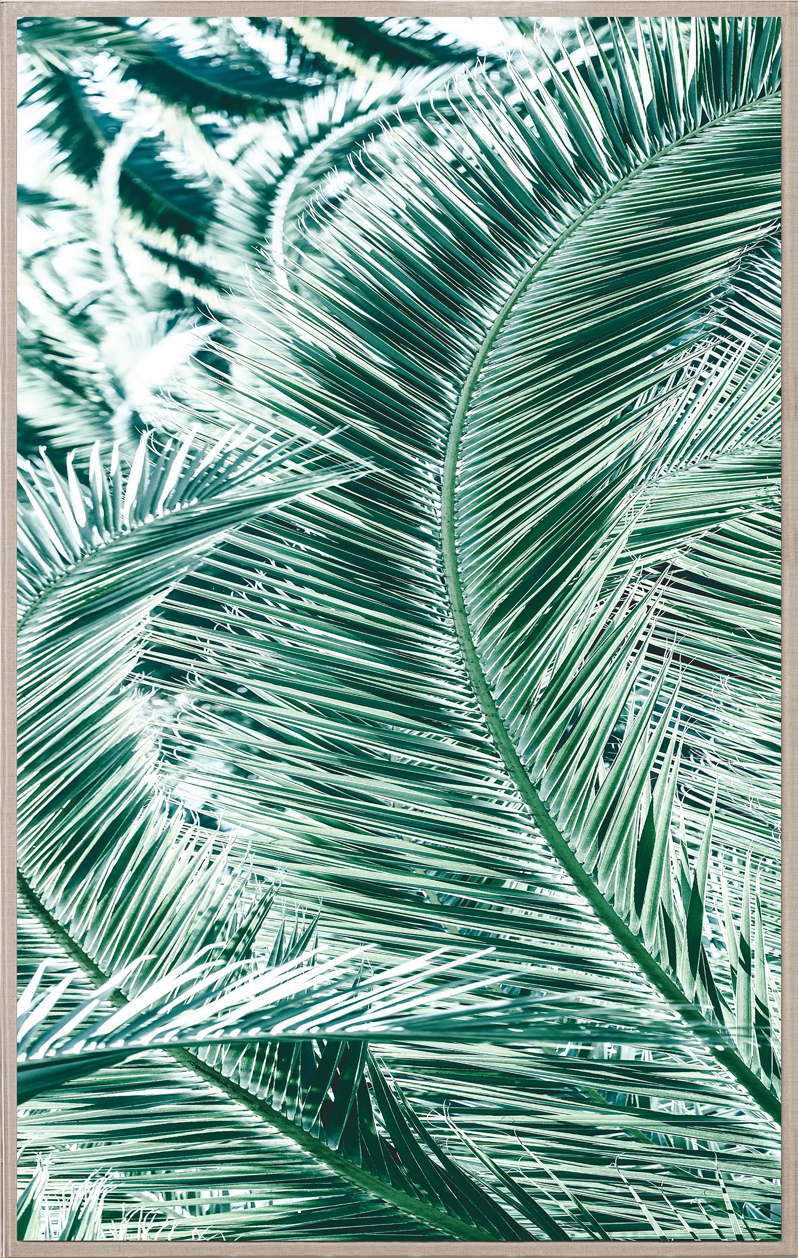 Natural Curiosities Tropicana 1 Art