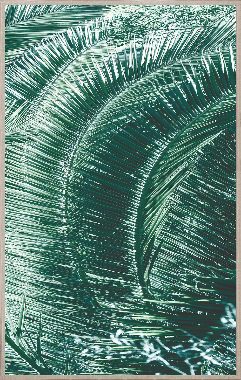 Natural Curiosities Tropicana 2 Art