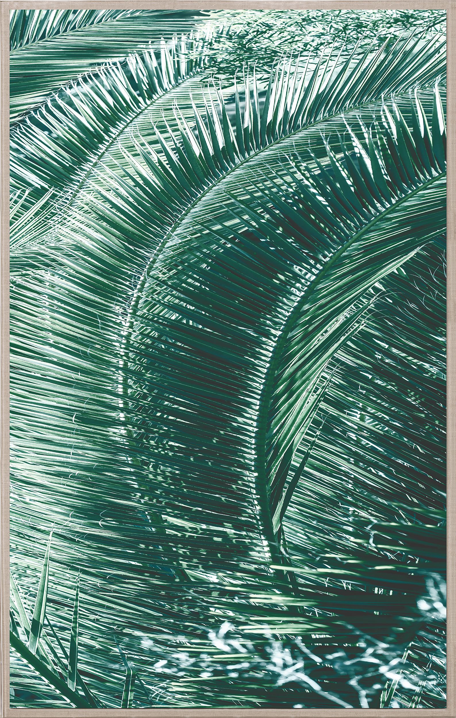 Natural Curiosities Tropicana 2 Art