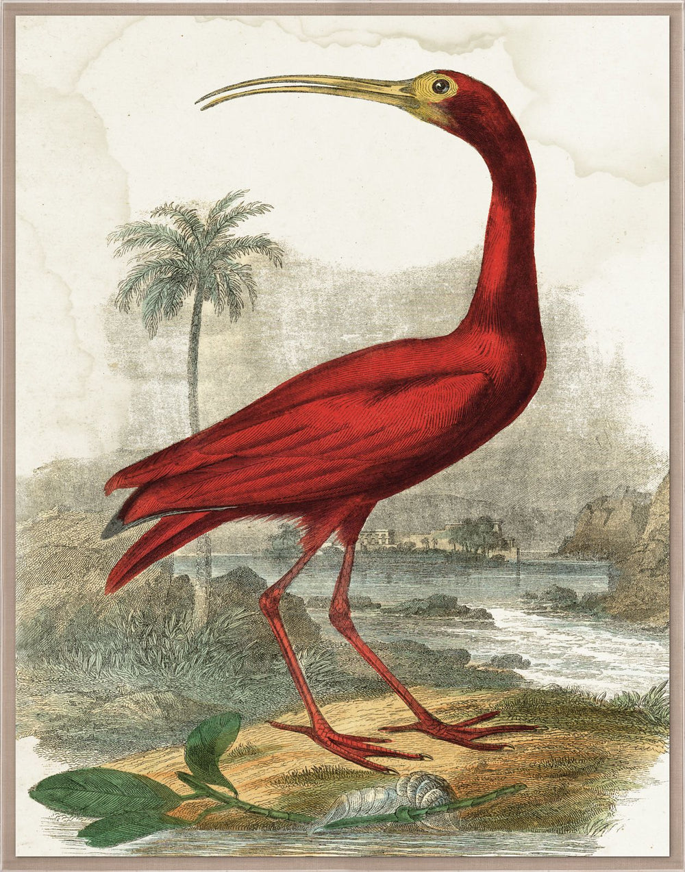 Natural Curiosities Lord Turnbull Art