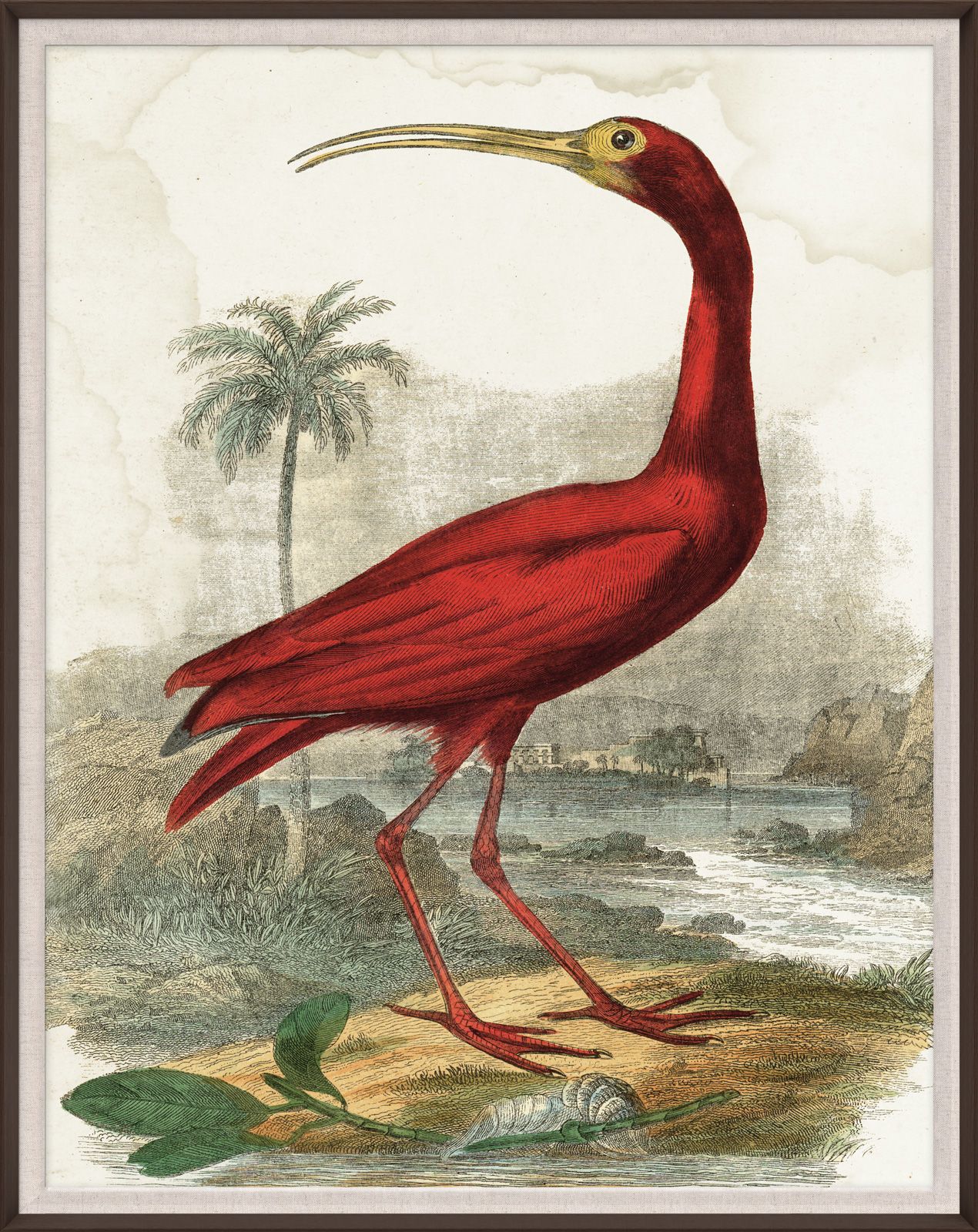 Natural Curiosities Lord Turnbull Art