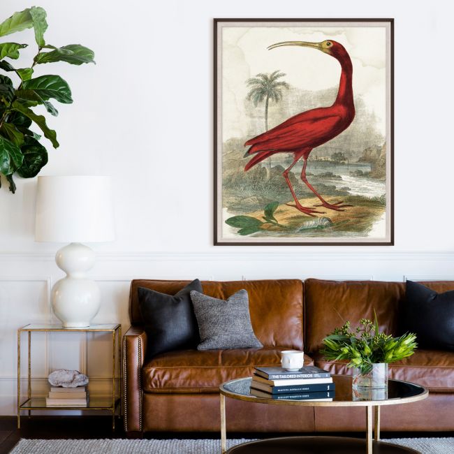 Natural Curiosities Lord Turnbull Art