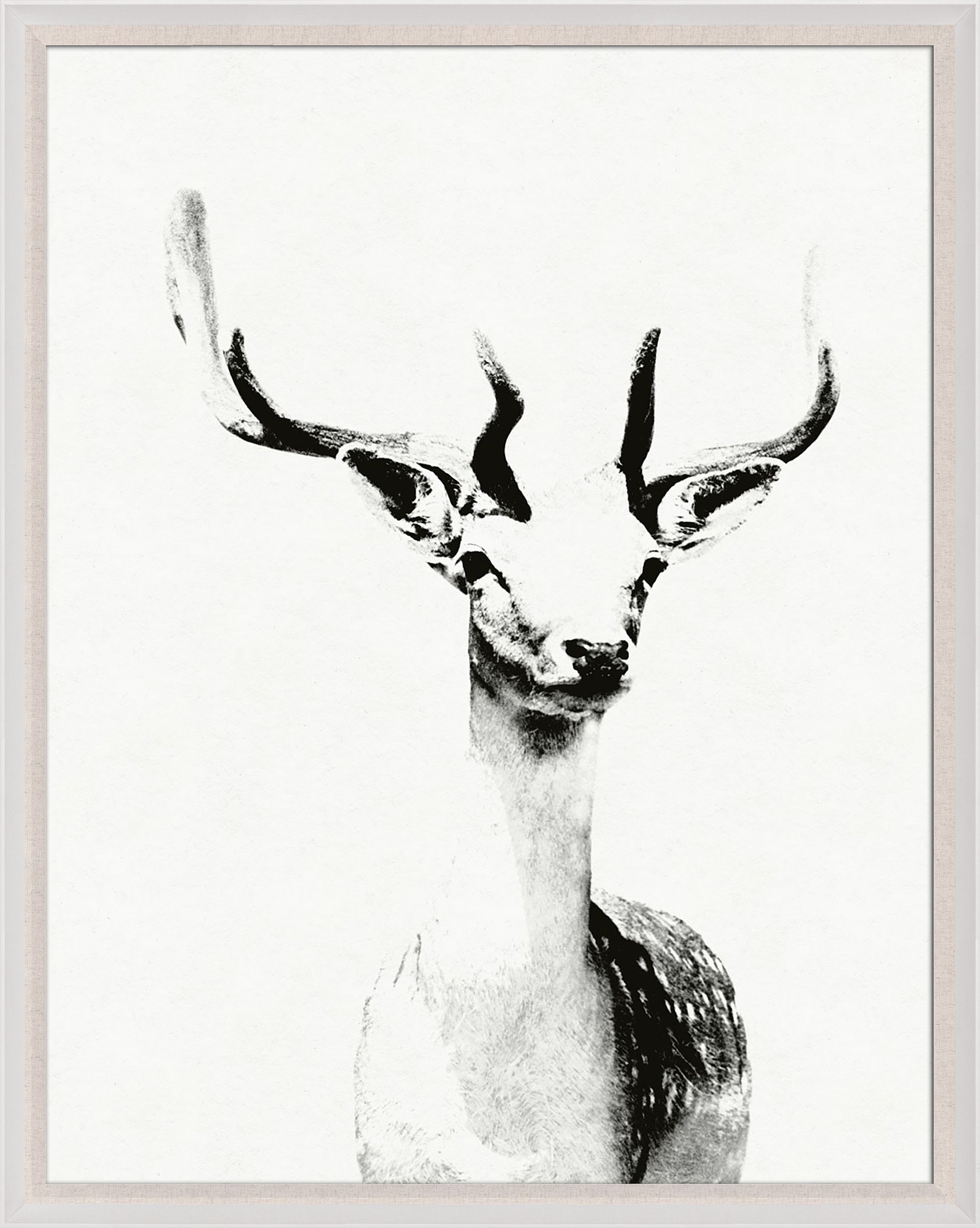 Natural Curiosities Tylinek Deer