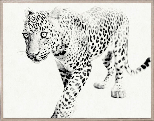 Natural Curiosities Tylinek Leopard Art