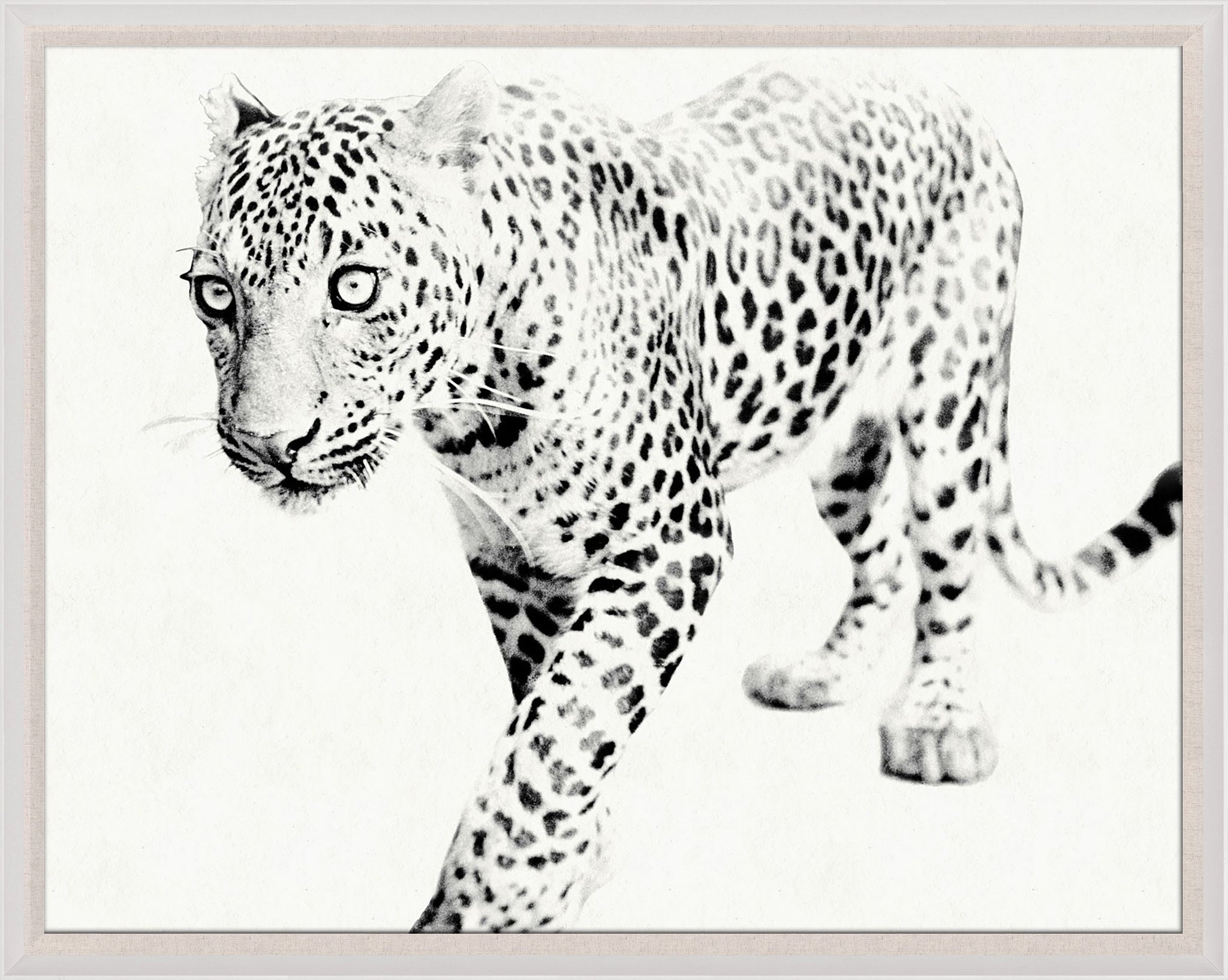 Natural Curiosities Tylinek Leopard Art