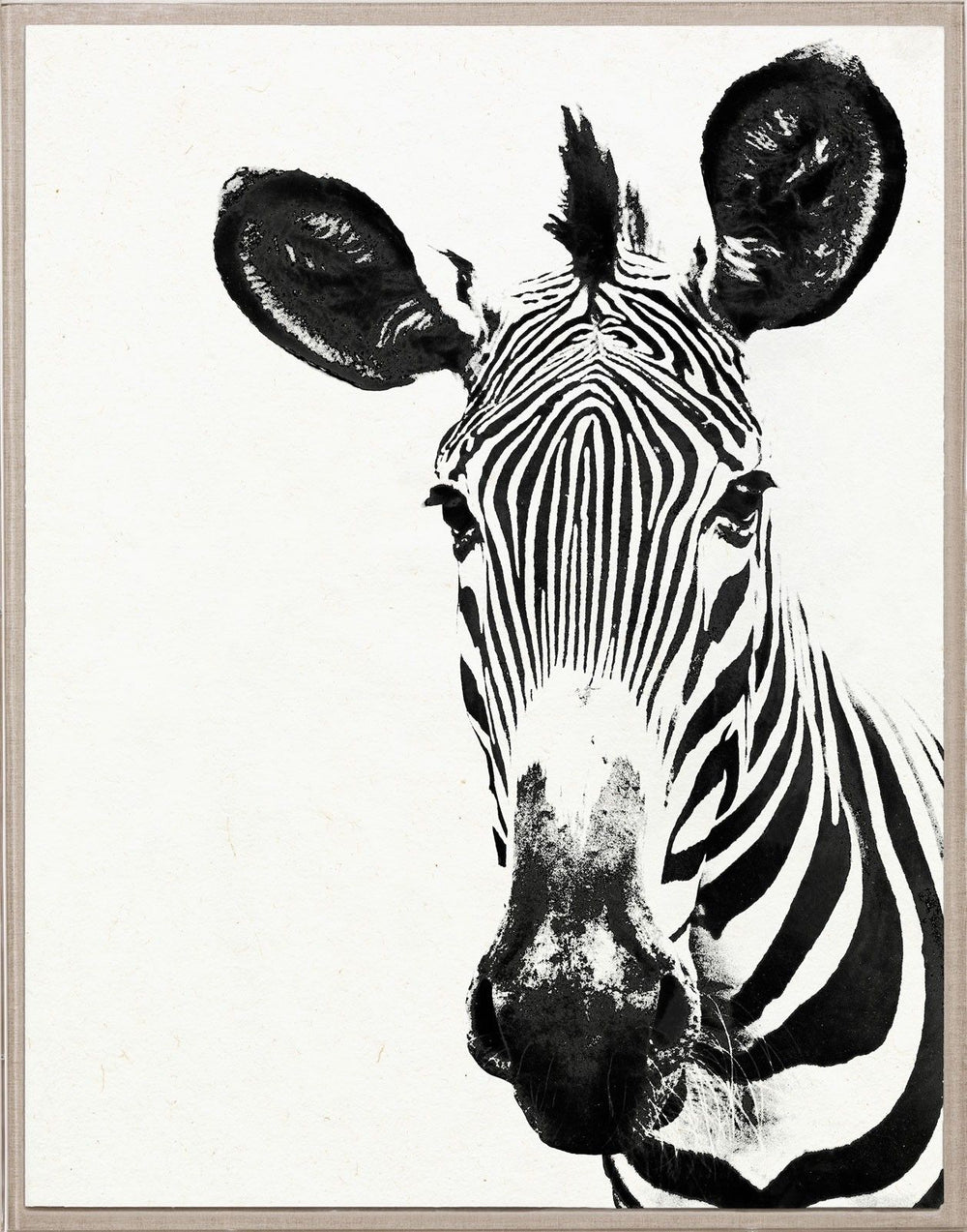 Natural Curiosities Tylinek Zebra Art