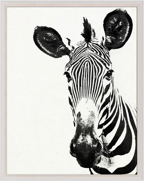 Natural Curiosities Tylinek Zebra Art