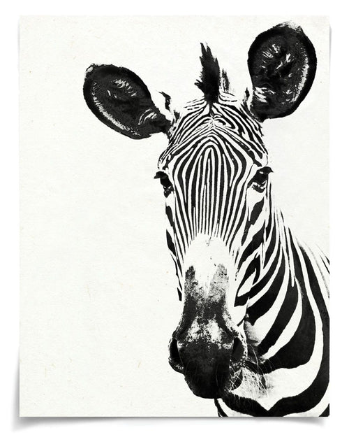 Natural Curiosities Tylinek Zebra Art