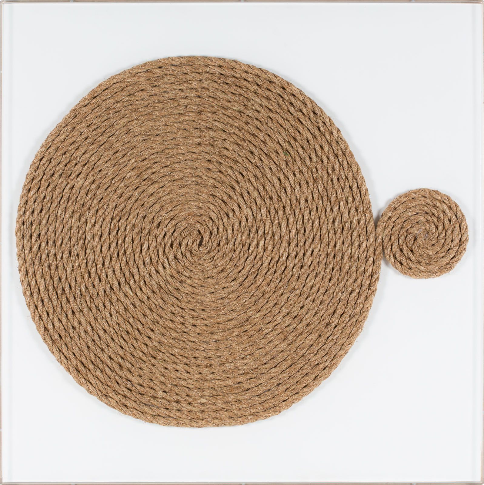 Natural Curiosities Unwind Wall Art