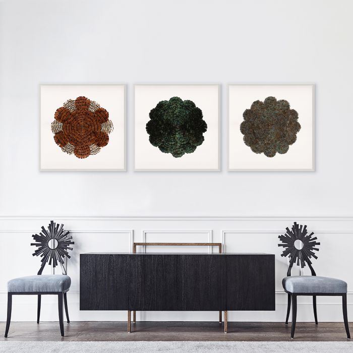 Natural Curiosities Victoria Mounted Feathers, Large