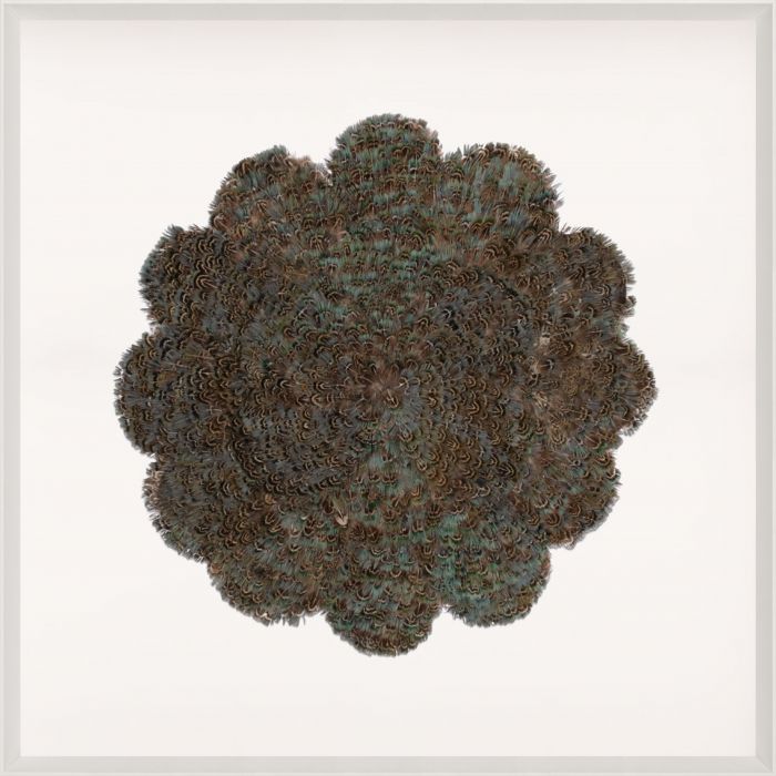 Natural Curiosities Victoria Mounted Feathers, Large