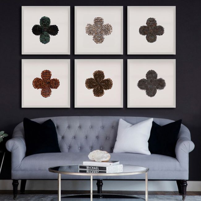 Natural Curiosities Victoria Mounted Feathers Collection Art