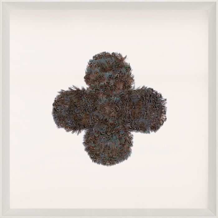 Natural Curiosities Victoria Mounted Feathers Art