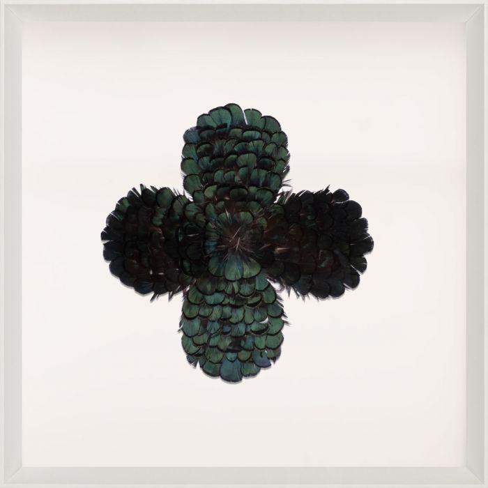 Natural Curiosities Victoria Mounted Feathers Art