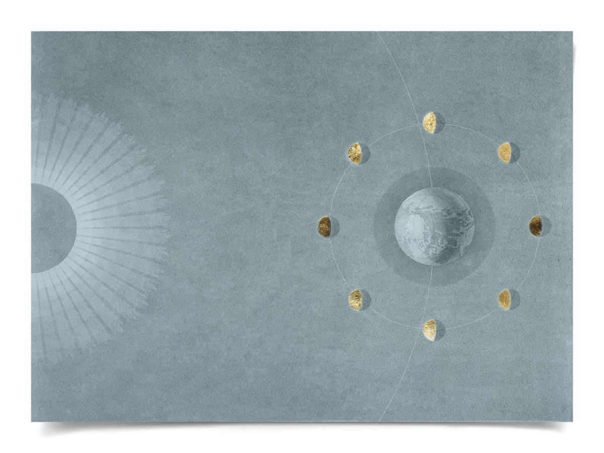 Natural Curiosities Visconti Celestial Art II