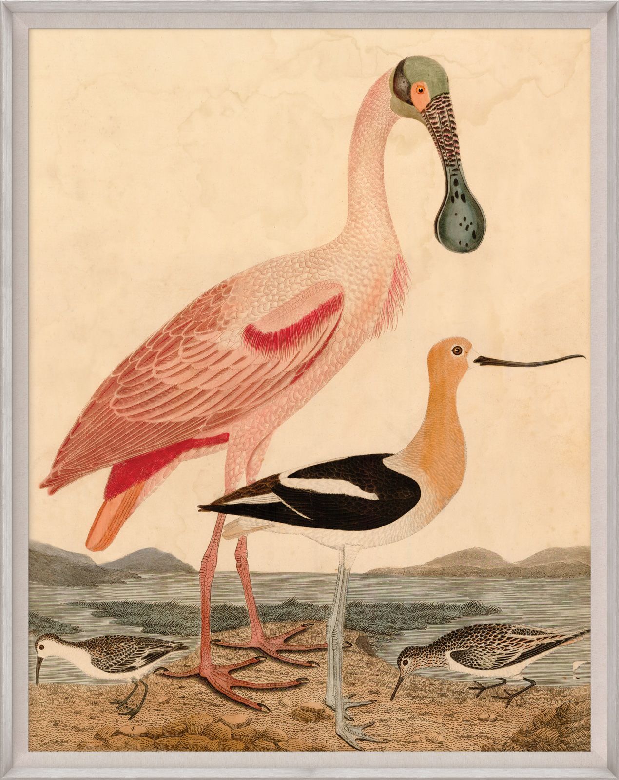 Jonathan Adler Warnicke Spoonbill Art