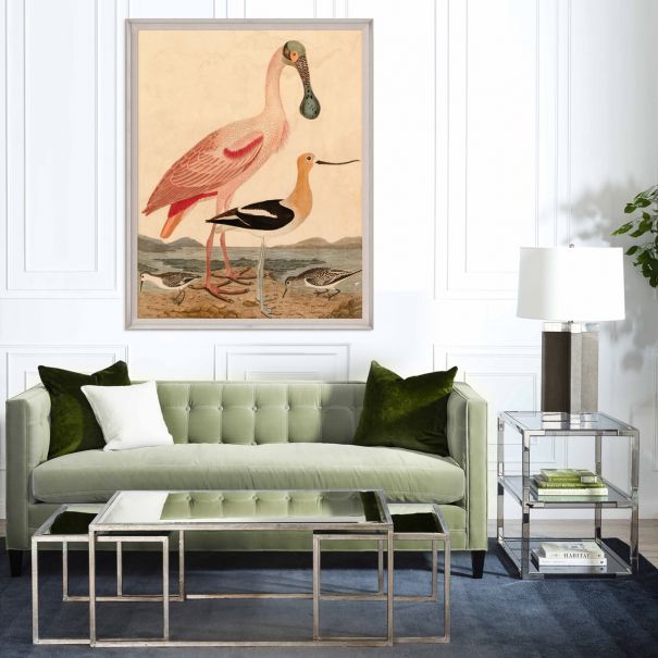Natural Curiosities Warnicke Spoonbill Art