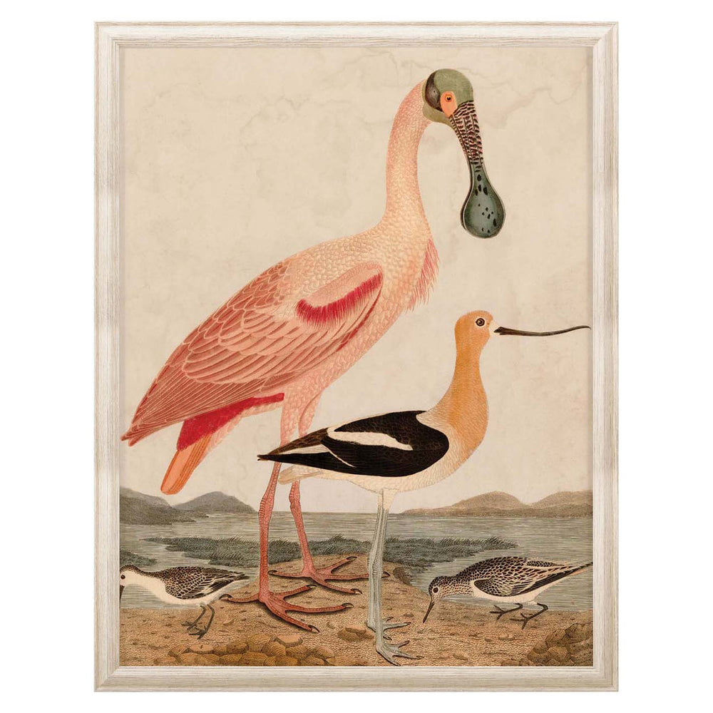 Jonathan Adler Warnicke Spoonbill Art