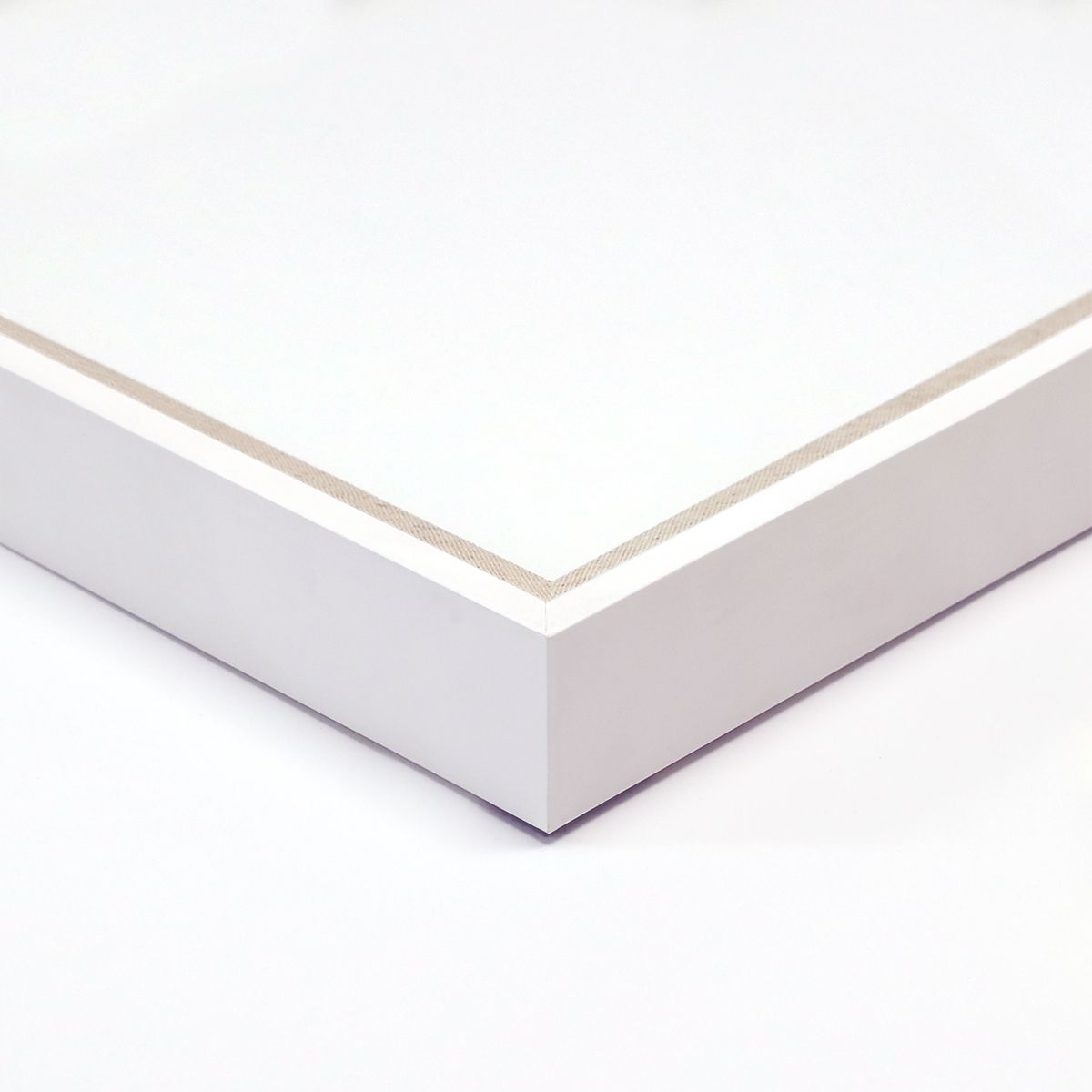 Natural Curiosities Ripple Diptych 2 Art