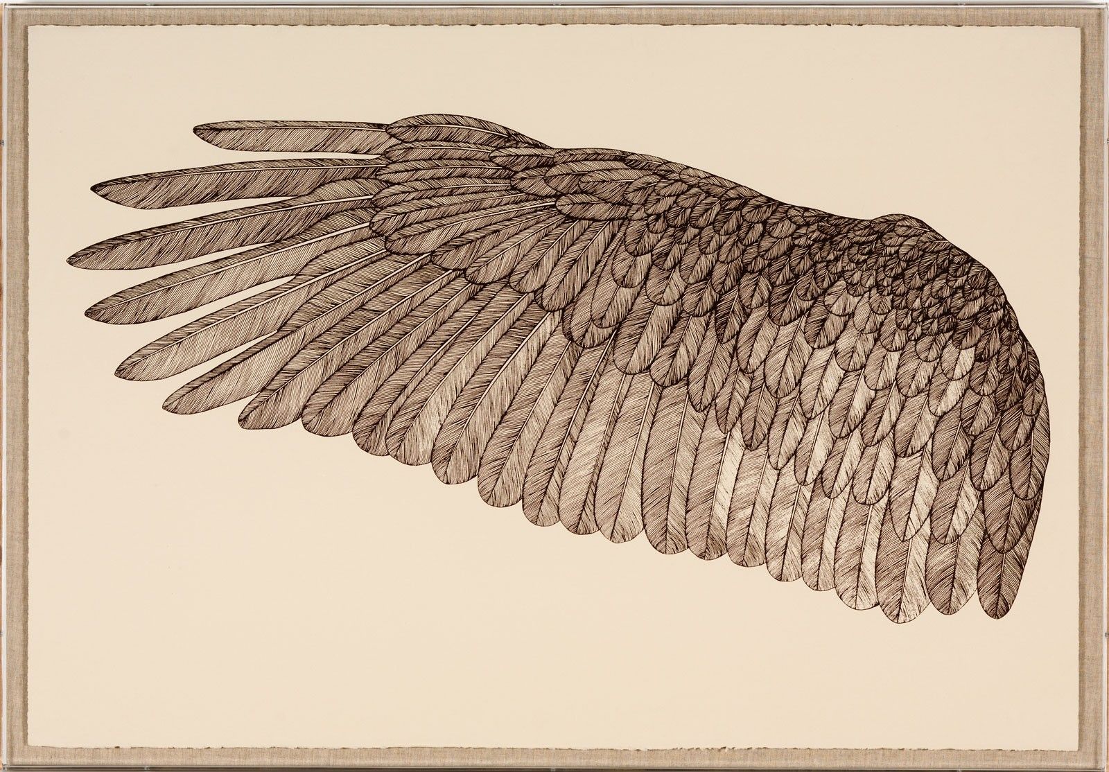 Natural Curiosities Wings of Love Art, Left