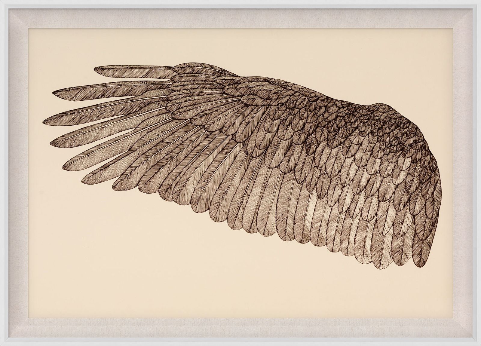 Natural Curiosities Wings of Love Art, Left