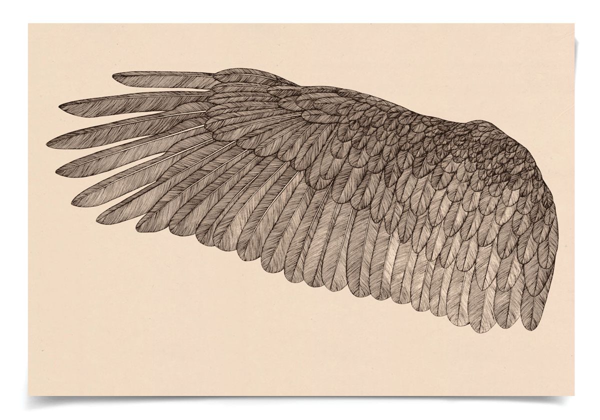 Natural Curiosities Wings of Love Art, Left