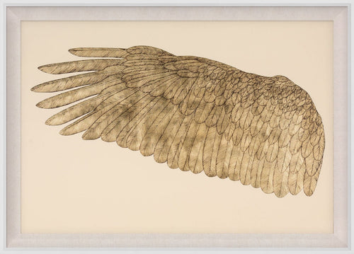 Natural Curiosities Wings of Love in Gold Art, Left