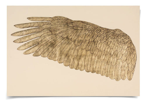 Natural Curiosities Wings of Love in Gold Art, Left