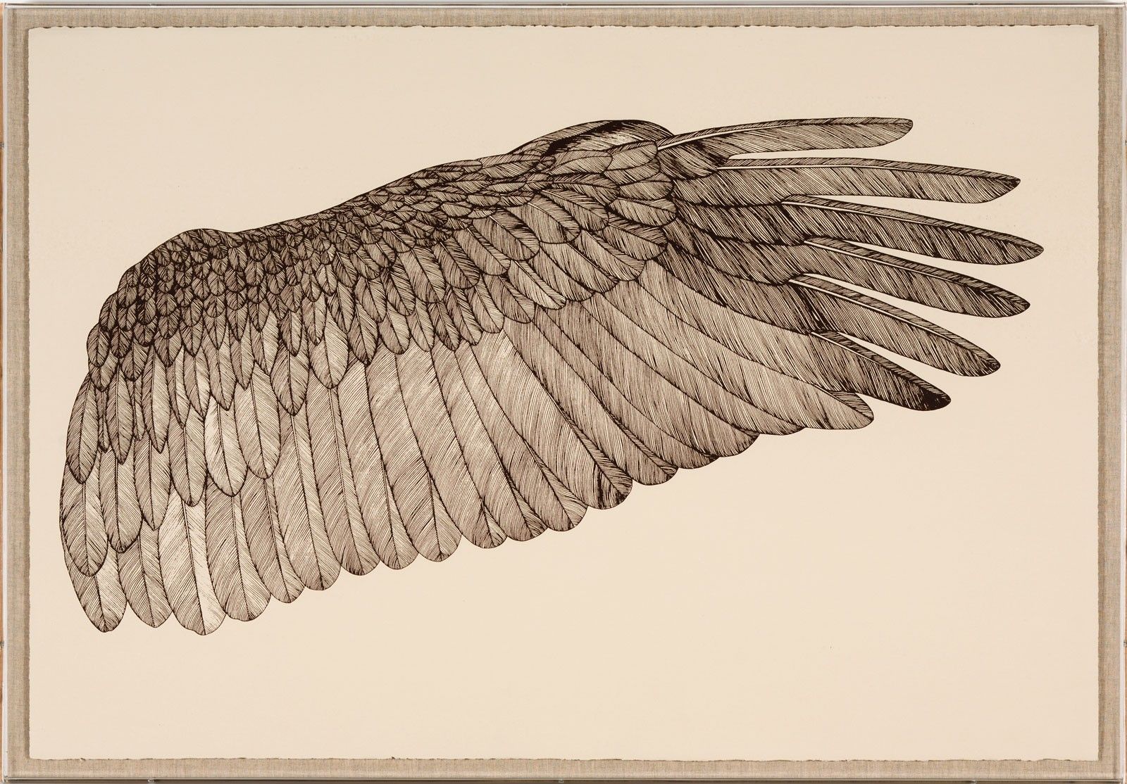 Natural Curiosities Wings of Love, Right Framed Art