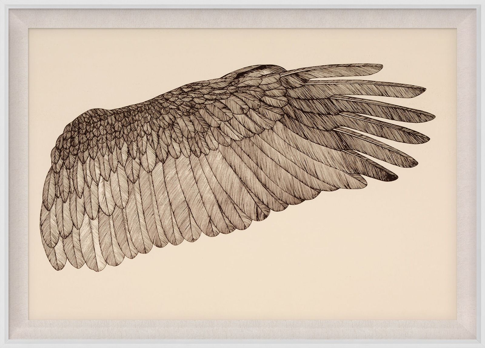 Natural Curiosities Wings of Love, Right Framed Art