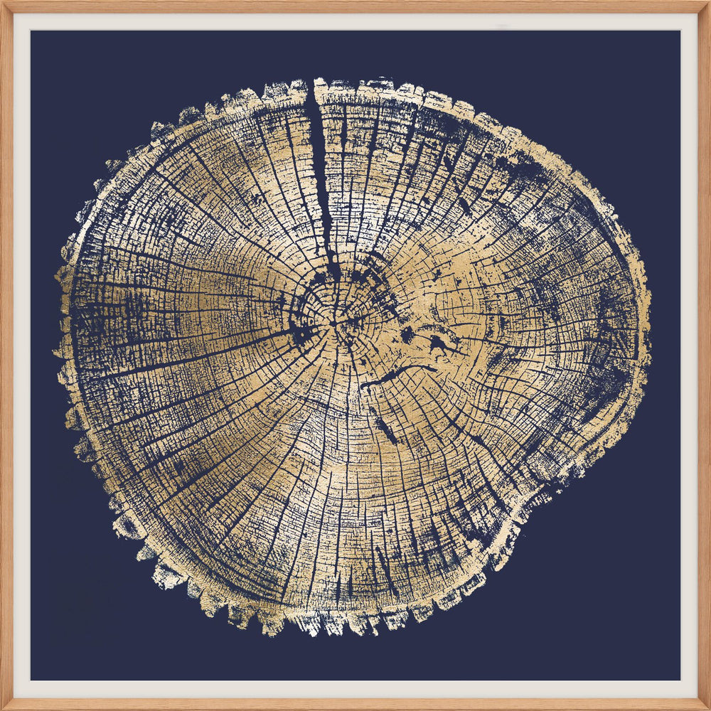Natural Curiosities Wood Cross Section Gold 1