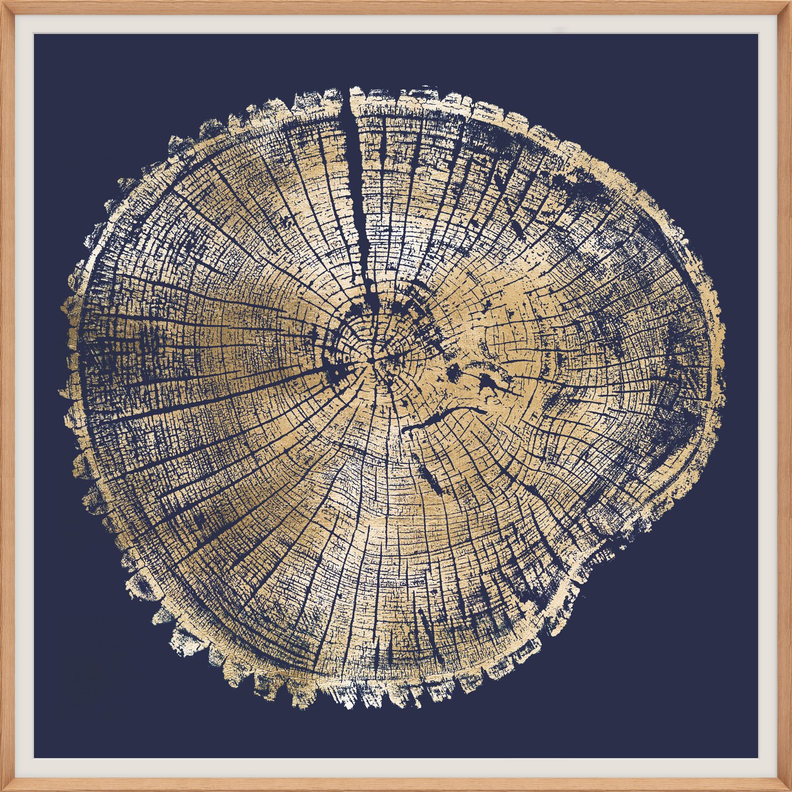 Natural Curiosities Wood Cross Section Gold 1