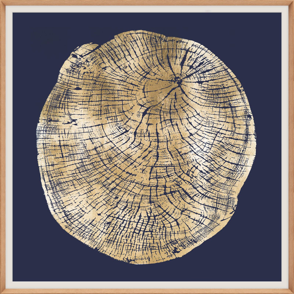 Natural Curiosities Wood Cross Section Gold 2