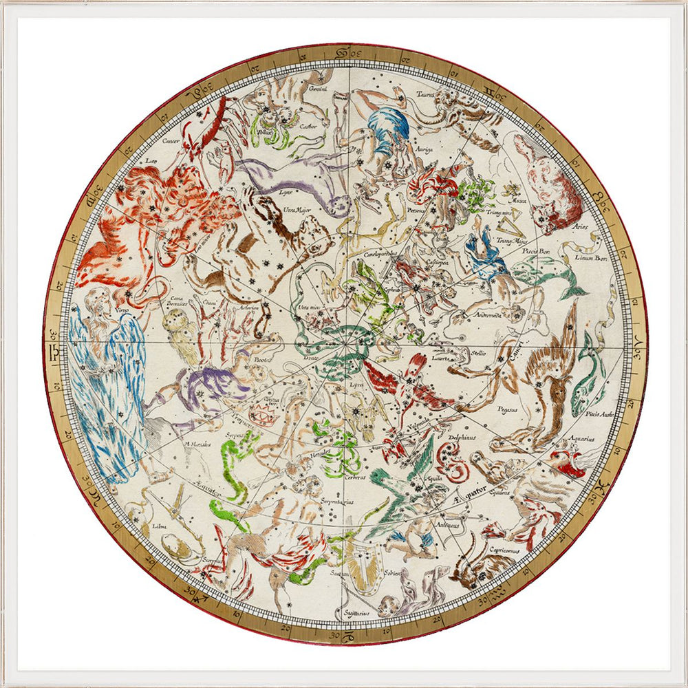 Natural Curiosities Zodiac Series 1 Art